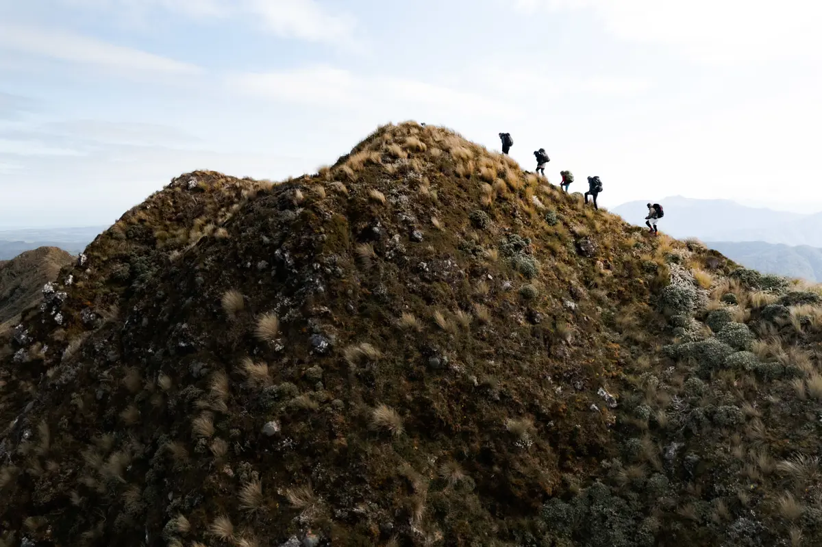 Kime Hut Walk, Tararua Forest Park, Jan 2024, Roadynz