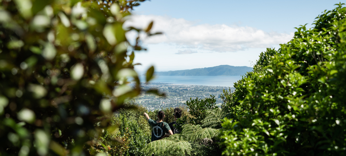 Web Banner Image (1)