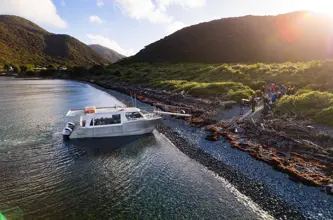 Ferry Arriving Waiorua Bay, Kapiti Island, 2024 Roady