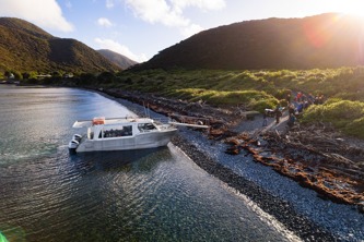 Kapiti Island Nature Tours Launches Exciting New Limited Edition Heritage Cruise