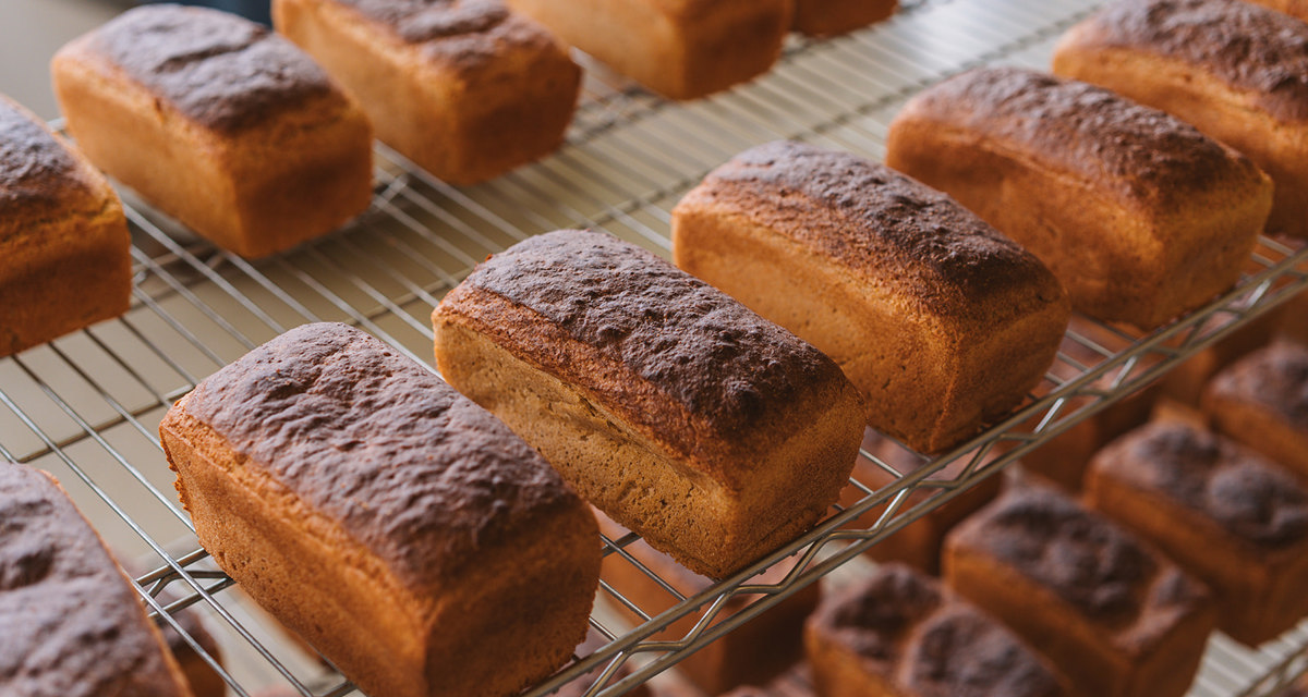 Purebread, Case Study, F&B, Sustainability (7)