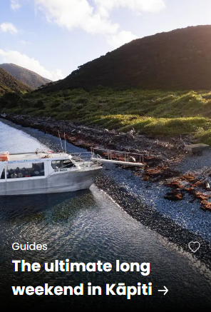 Screenshot 2025 10 17 093051