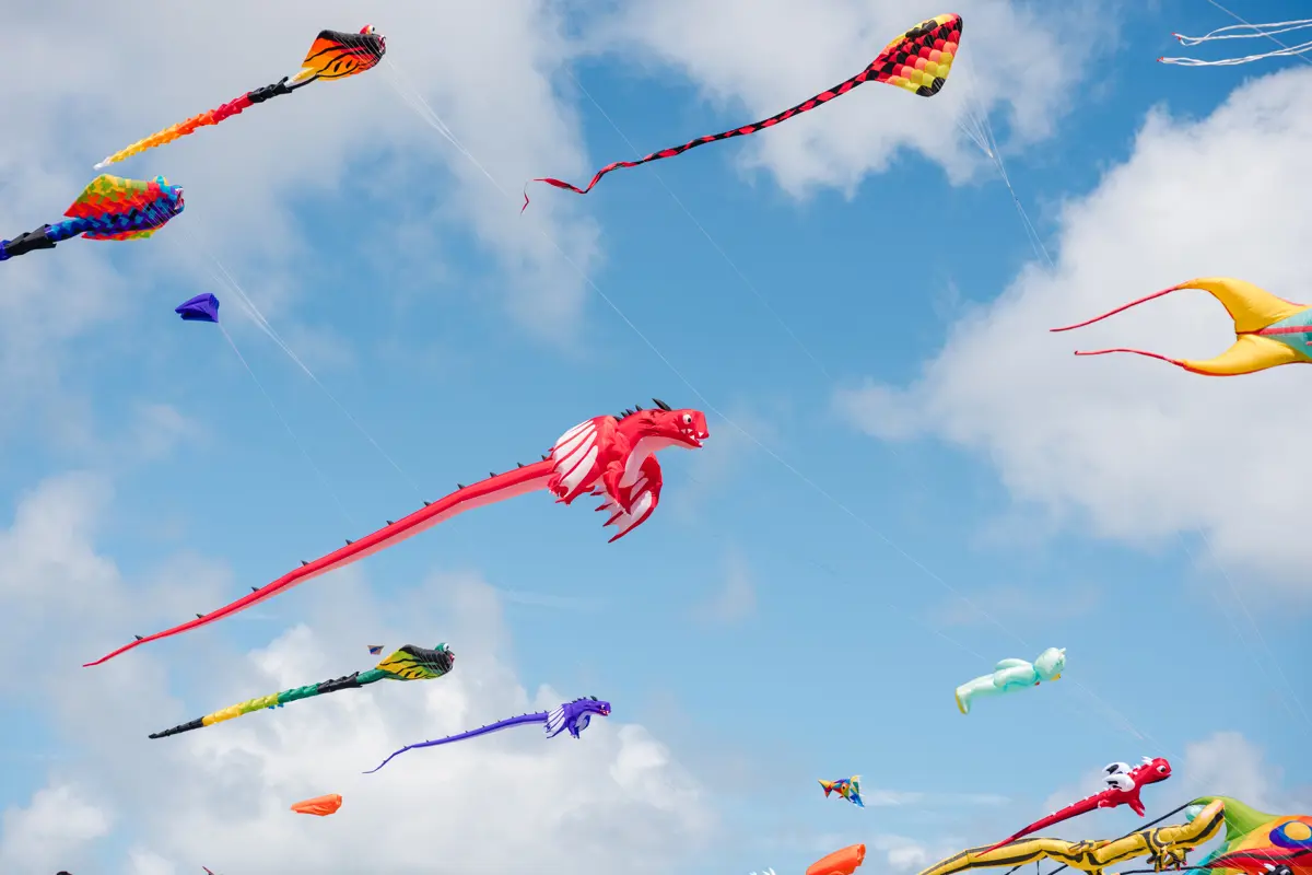 Otaki Kite Festival AAA 308