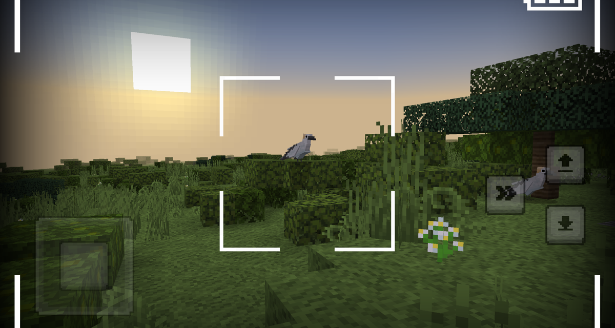 Aotearoa Newzealand Gameplay Kapiti 10